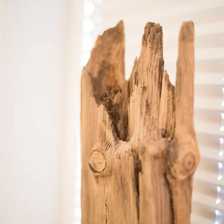 Apartmán Solring Lek